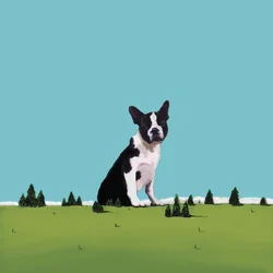 Boston Terrier, 2008 (acrílico sobre tela)